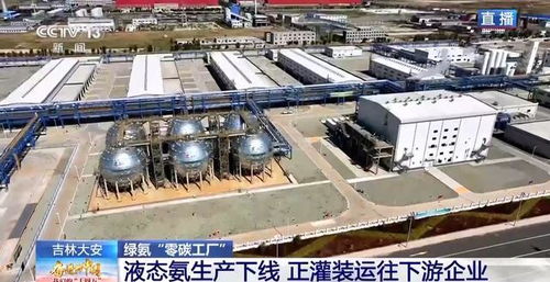 零碳工廠 新能源“就地生金”，全鏈條綠色消納體系引領未來